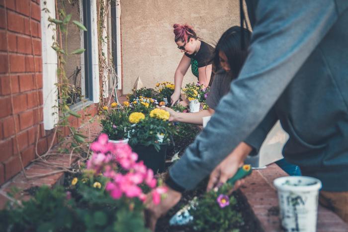 Vertical Gardening for Apartments