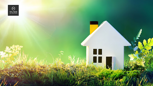 Essential Ways To Make Your Home Eco-friendly during this New Year 2022